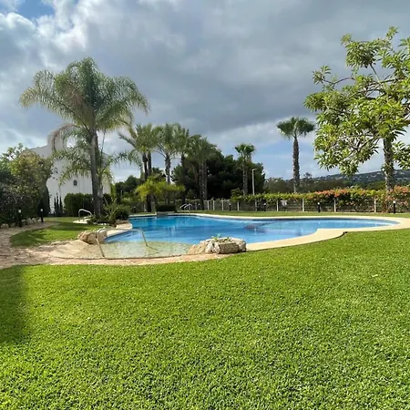 Ficus *