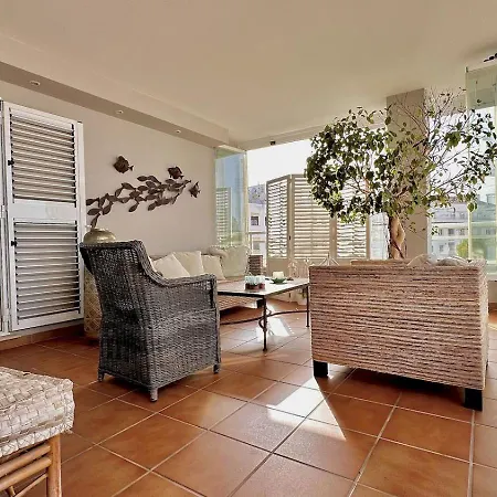 Ficus خافييا